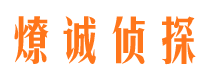 罗山市场调查